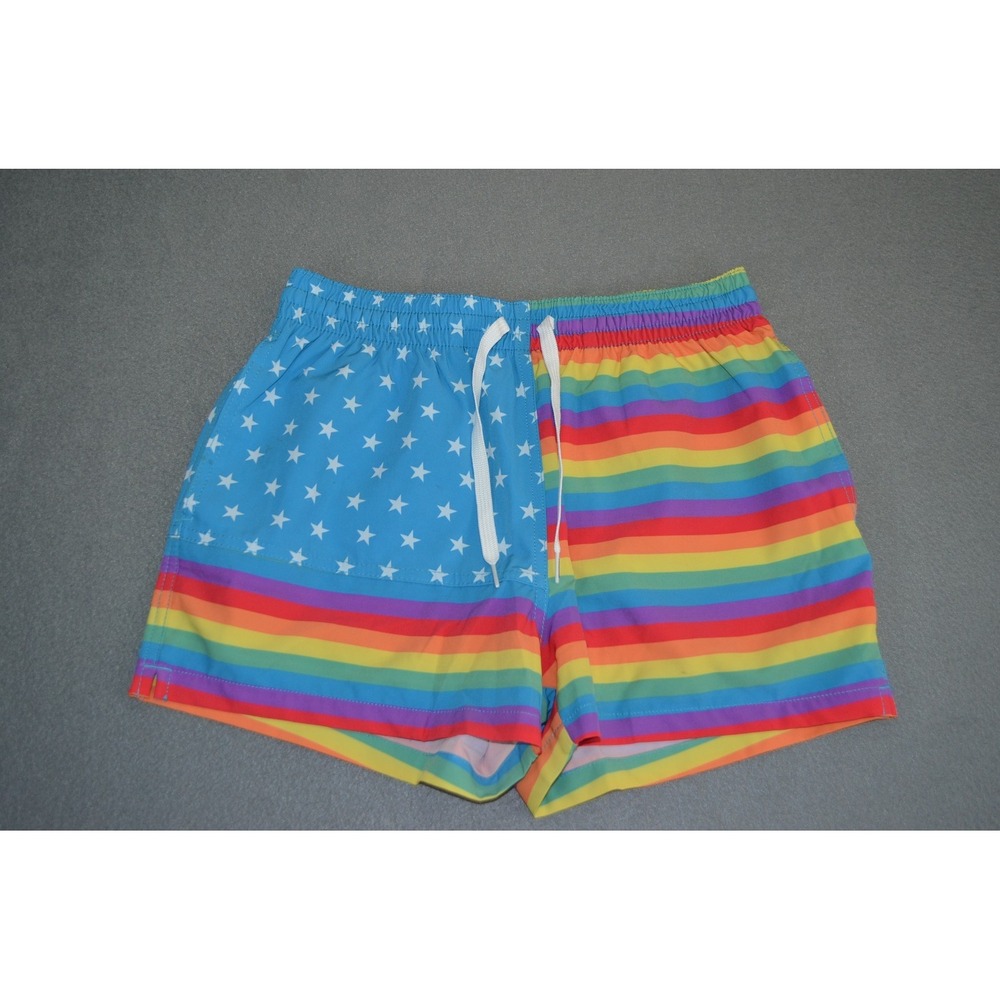 Chubbies Shorts Mens Small Rainbow Flag Swim Trunks Mesh Lined 4" Inseam